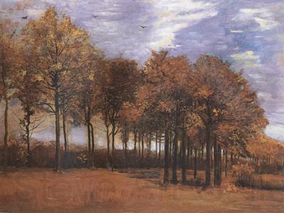 Vincent Van Gogh Autumn Landscape (nn04) Germany oil painting art